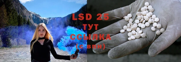 дурь Няндома