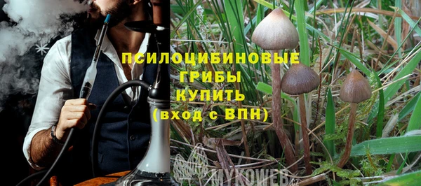 хмурый Нязепетровск