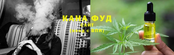 дурь Няндома