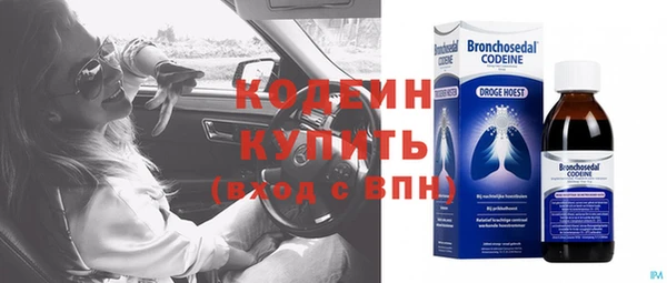 дурь Няндома