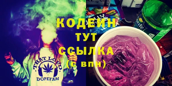 дурь Няндома