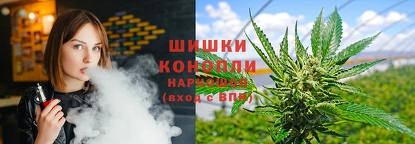 дурь Няндома